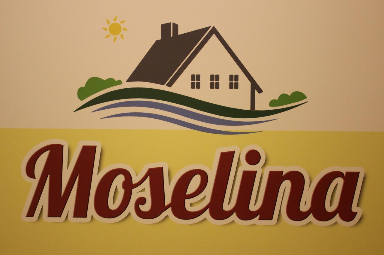 Moselina Gaestezimmer Sankt Aldegund Exterior photo